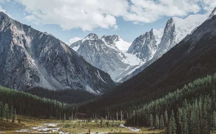移民土耳其需要多少钱